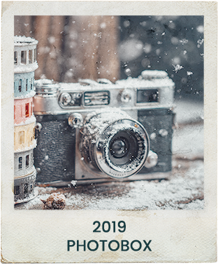 De Vossenberg Photobox 2019