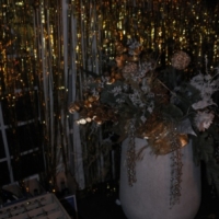 dsc 6043