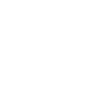 The Pre Christmas Party